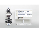 Vision KaryoFISH® Vet Цифровая система для хромосомного анализа (кариотипирование и анализ с использованием метода FISH)